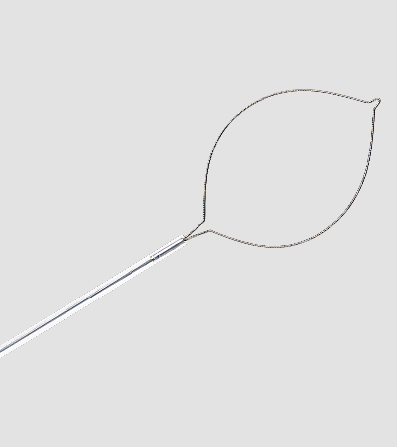 Disposable Polyp Snares